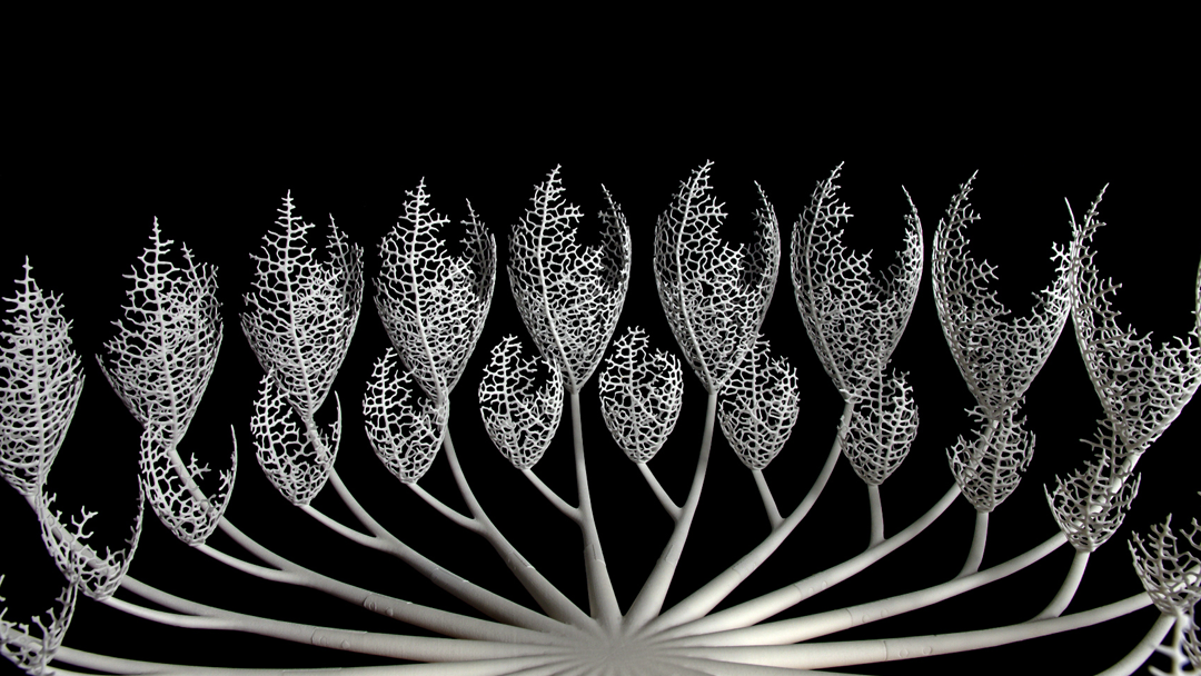 Growing Objects – 3D printed zoetropes